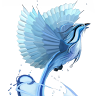 Halcyon Winds